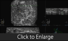 Medical Findings Medical Findings